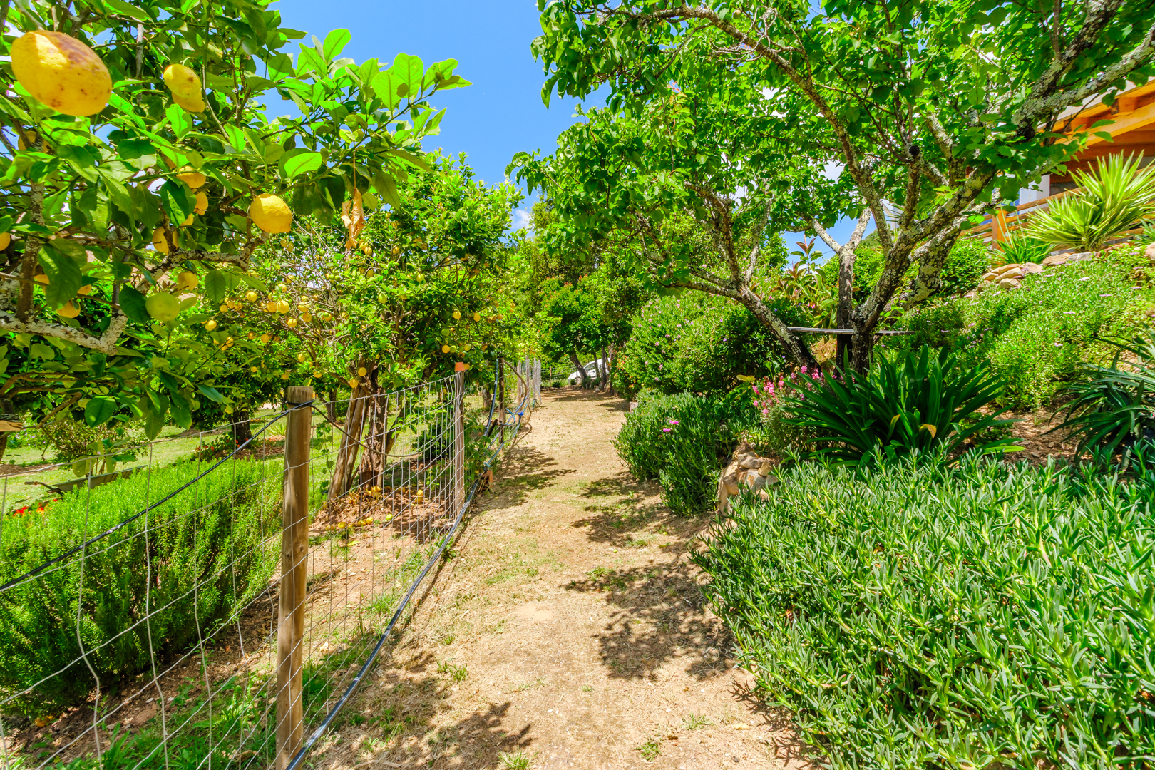 property_image